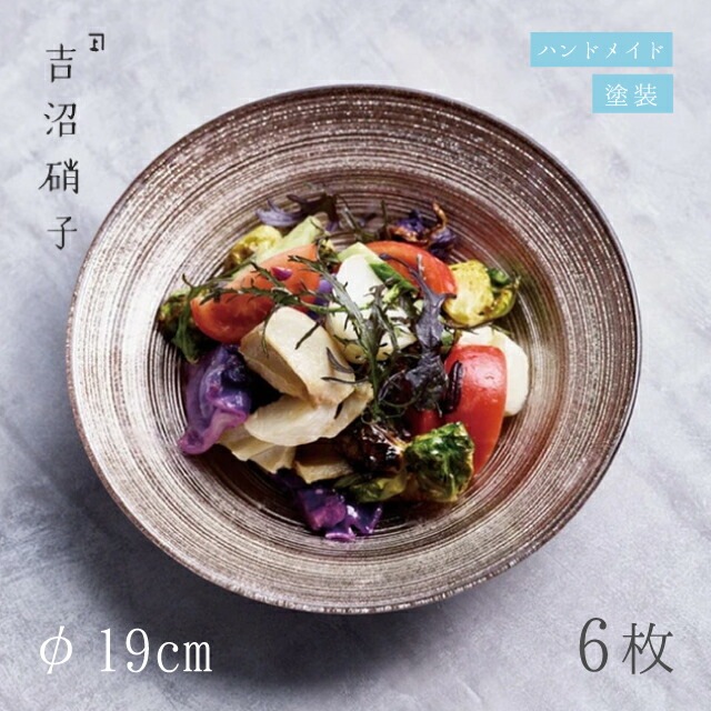 中鉢 φ19cm 6枚 サークル 浅中鉢 ブロンズ 吉沼硝子（19-210BZ）