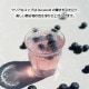 デュラレックス ピカルディ 500ml 6個(DU-201)