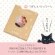 coconeco 箸置き 1個売り 選べる全4種 ここねこ 猫 ネコ アデリア/石塚硝子（6867・6868・6869・6870）