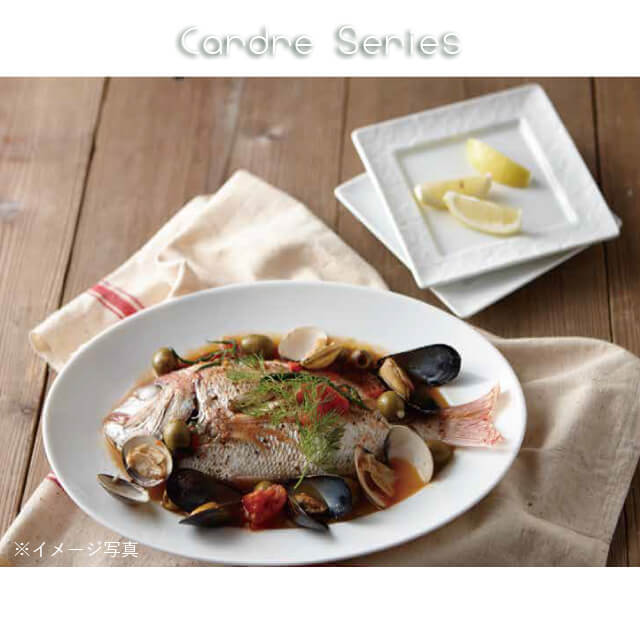 プラター17cm 6枚セット カードル Cardre 白磁 深山陶器 miyama（82-032-101）