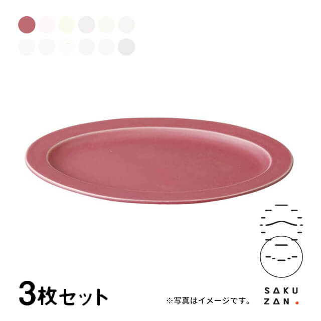 SAKUZAN 作山窯 オーバル プレート M 3枚セット 24cm Sara DAYS