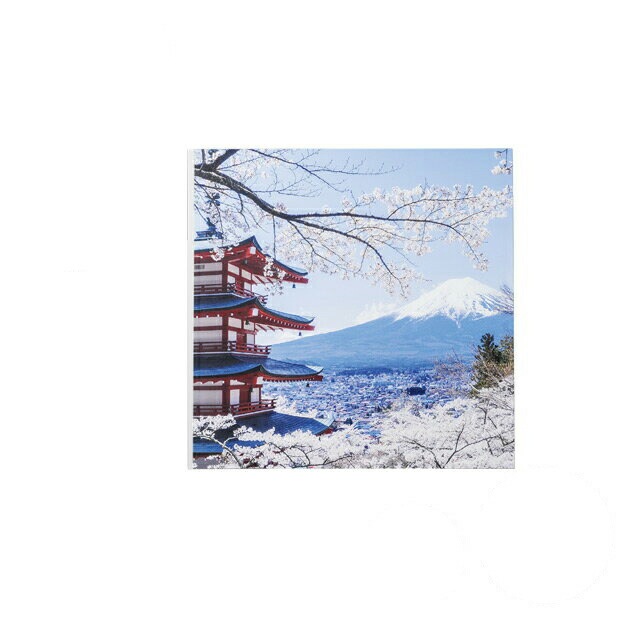 懐石盆 尺0.5寸 角雅 桜と富士山裏白塗 和美作日 Wabisabi（3-043-01)