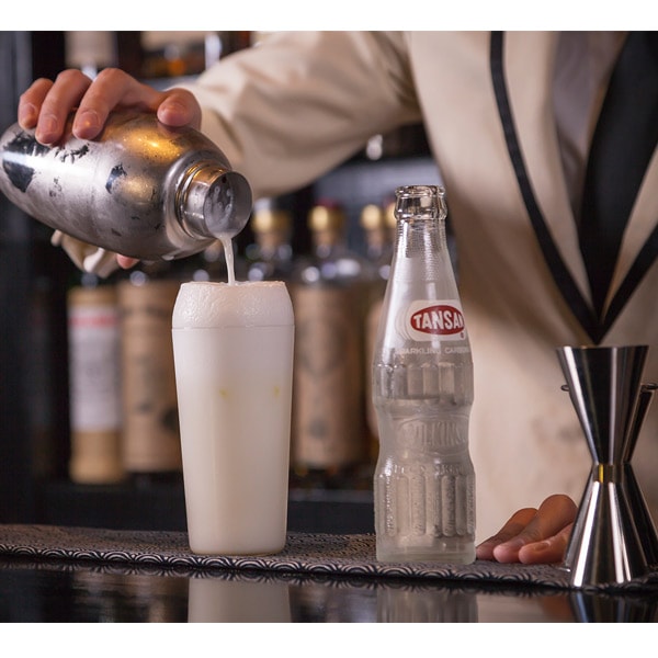 BIRDY カクテルシェーカー（CS350E）