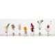 アミューズ 30ml 24個入 Starwares スターウェアズ(SW-719122)