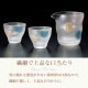 プレミアム酒器セット 丸紋 専用箱付き プレミアムニッポンテイスト The Premium Nippon Taste 盃 片口 アデリア 石塚硝子（S-6361）