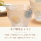 プレミアム酒器セット 丸紋 専用箱付き プレミアムニッポンテイスト The Premium Nippon Taste 盃 片口 アデリア 石塚硝子（S-6361）