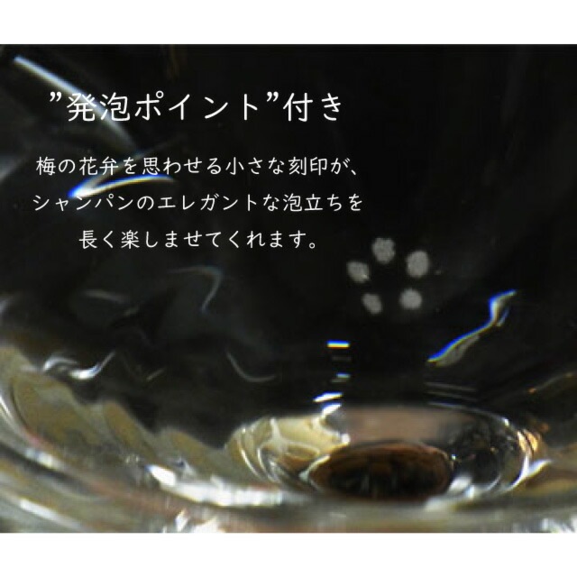 ショット ツヴィーゼル ヴィーニャ シャンパンEP 270ml 6個入（111718