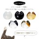 オーナメント coconeco craft ここねこ 全5種 猫 ネコ ペーパーウエイト 置物 アデリア/石塚硝子（F-79906・F-79907・F-79908・F-79909・F-79910）