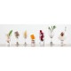 アミューズ 60ml 18個入 Starwares スターウェアズ（SW-719115）