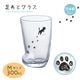 タンブラー 足あとグラスM 300ml ねこ 1個売り アデリア 石塚硝子(6208)