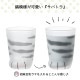 タンブラー 子猫サバトラ 230ml ここねこグラス coconeco アデリア 石塚硝子（6224）
