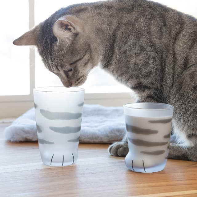 タンブラー 親猫サバトラ 300ml ここねこグラス coconeco