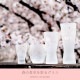 酒グラス ペアセット 桜 100ml プレミアムニッポンテイスト アデリア 石塚硝子（S-6063）