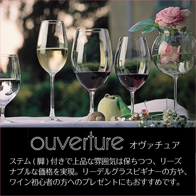 リーデル オヴァチュア レッドワイン 350ml 2個入（6408/00）
