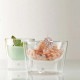 ショット ツヴィーゼル イエナ ホット&クール ボウル 100ml 2個入（116220）