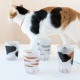 タンブラー 子猫 ブチ 230ml ここねこグラス coconeco アデリア 石塚硝子（6678）