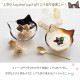 小鉢 coconeco craft ここねこ 全5種 アデリア 石塚硝子（F-75144・F-75145・F-75146・F-75147・F-75148）