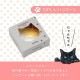 小鉢 coconeco craft ここねこ 全5種 アデリア 石塚硝子（F-75144・F-75145・F-75146・F-75147・F-75148）