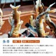 魚串 37cm 50本×10袋 500本（06155）