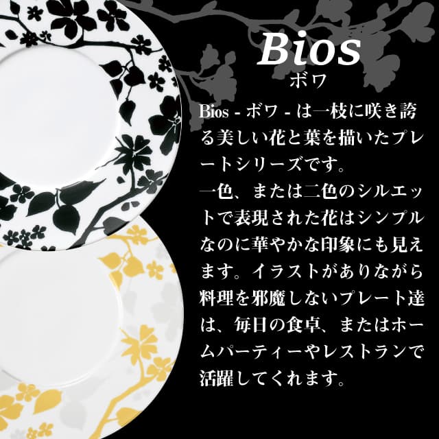 プレート M&S 30cm マット&シャイン Bios 丸東 STUDIO 010（BS-102）