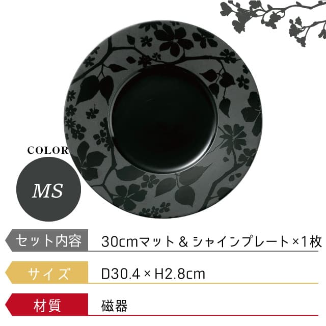 プレート M&S 30cm マット&シャイン Bios 丸東 STUDIO 010（BS-102）