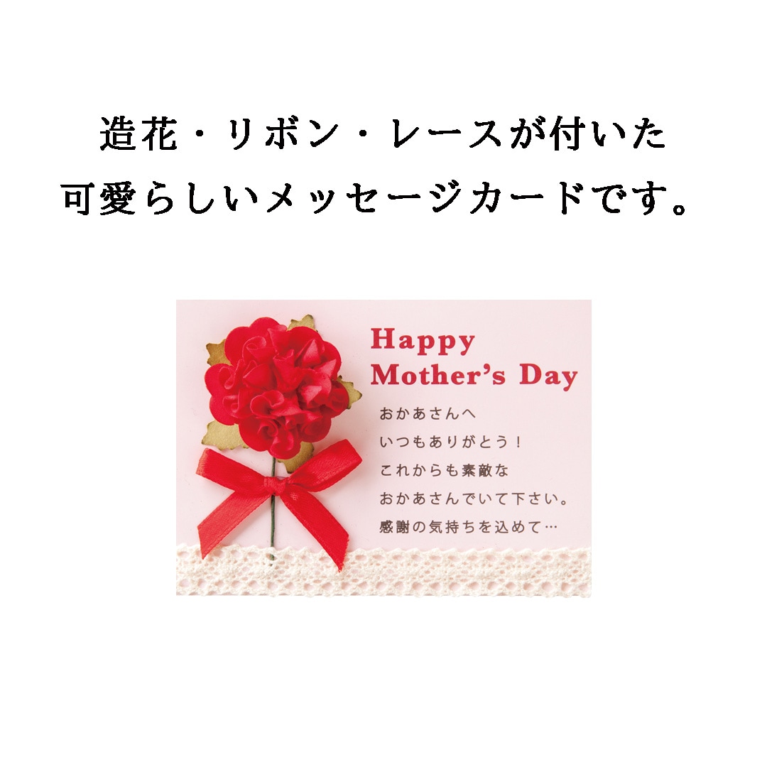 【母の日限定ギフトBOX、メッセージカード付】樹峰プレミアム 一山 バームクーヘン