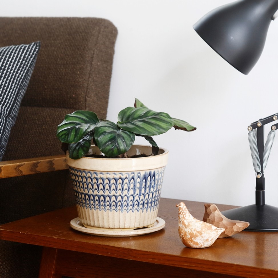 PEACOCK POT、POT PLATE （NOTA & design）