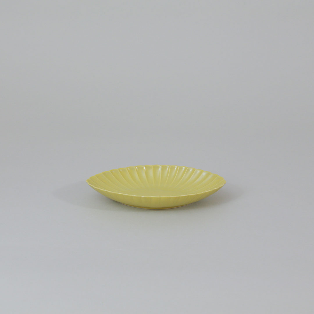 菊長鉢 （JICON　磁今）