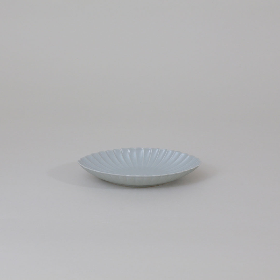 菊長鉢 （JICON　磁今）