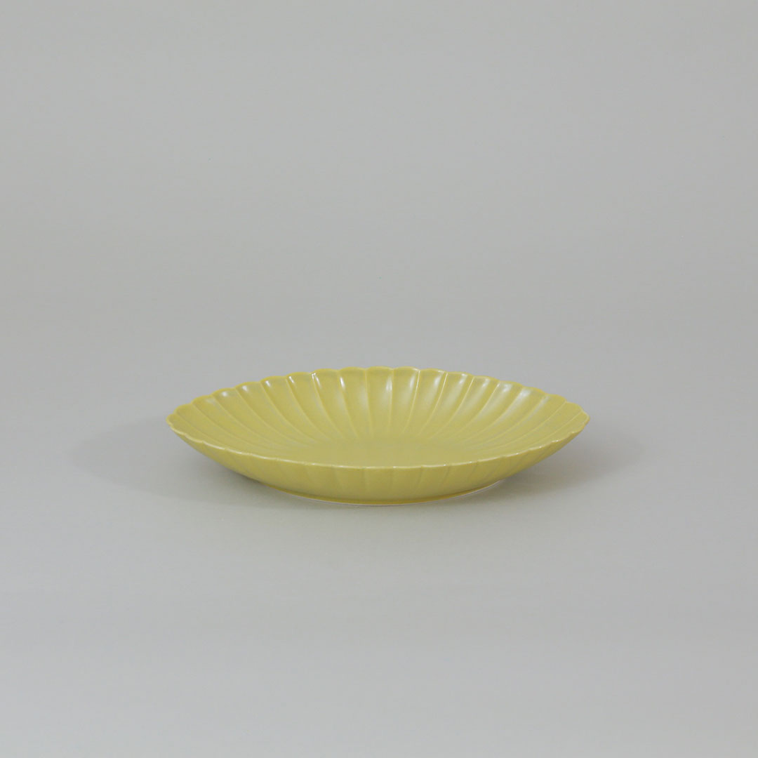 菊長鉢 （JICON　磁今）