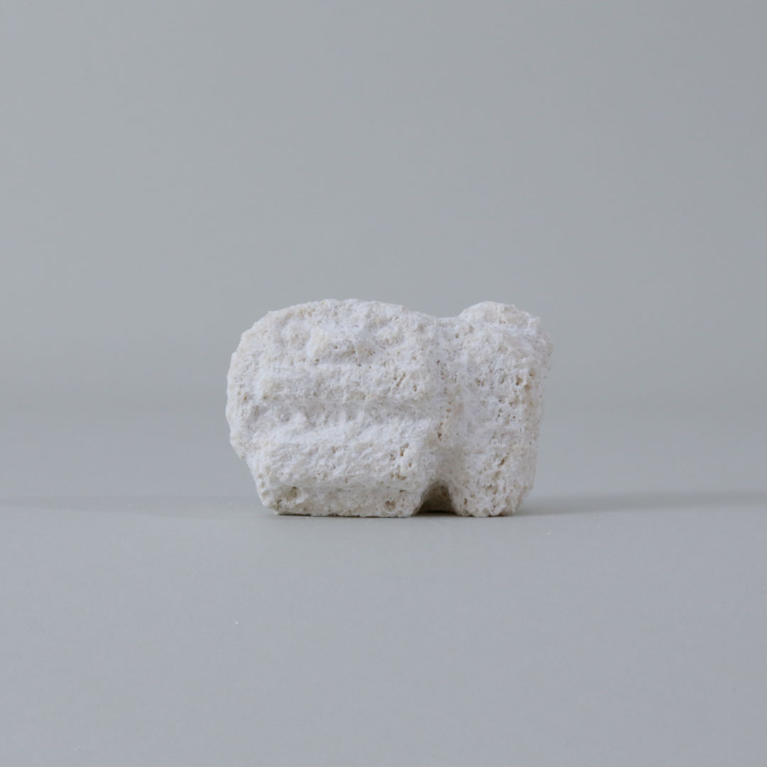 石獅子 （スタジオ de-jin）