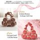 �ҥ��åȡӣ�D Raffia Rose Bag�����åȡ�Designed by melt