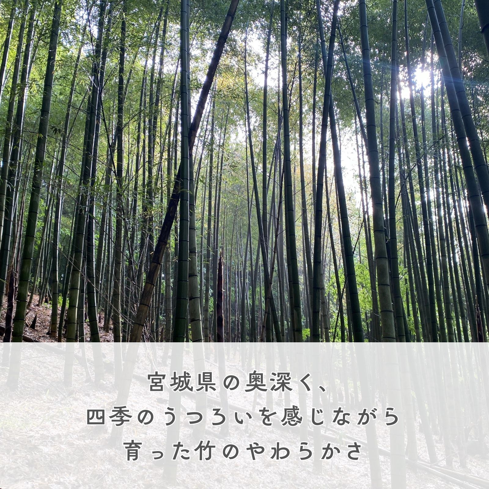メンマアチャール | murata base