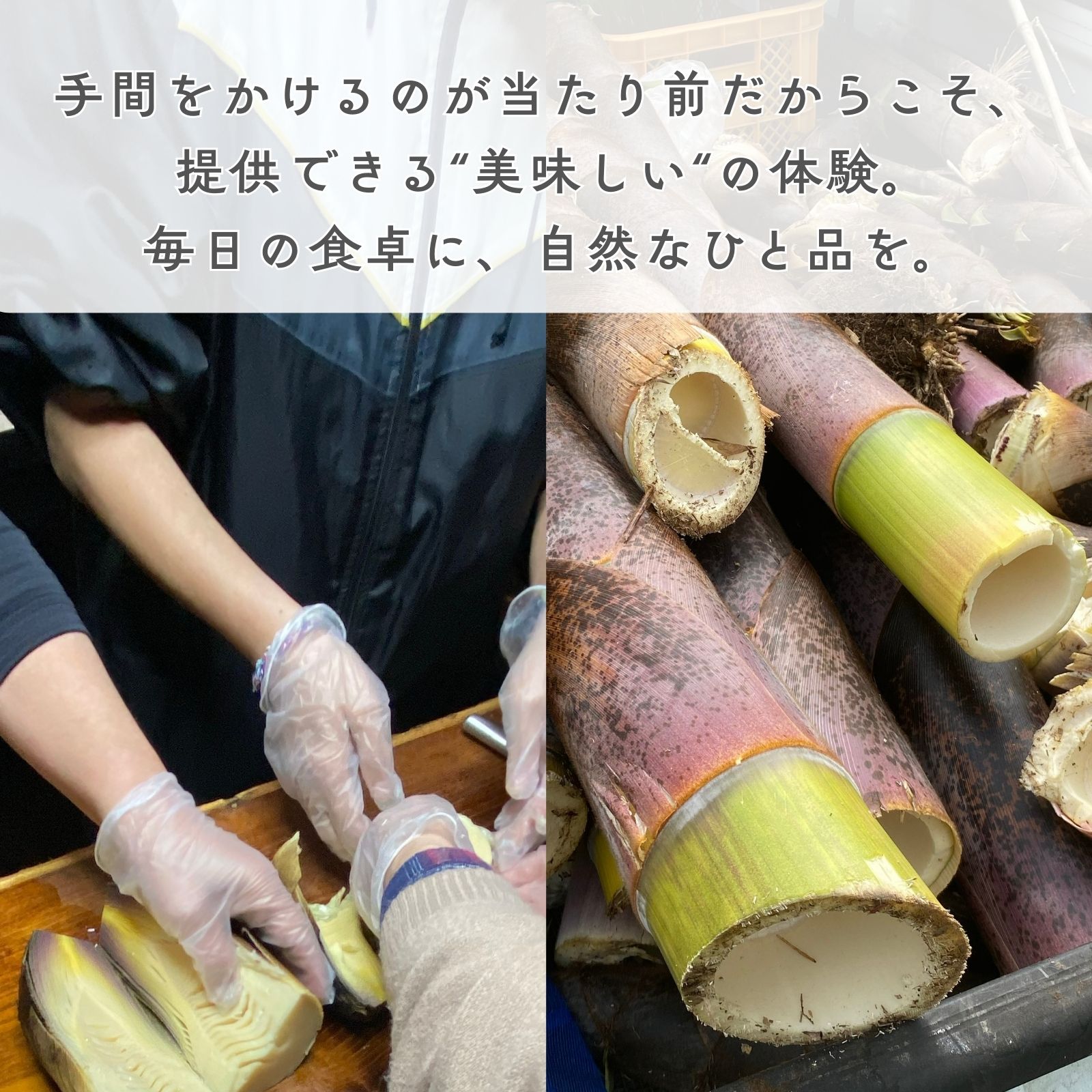 メンマアチャール | murata base
