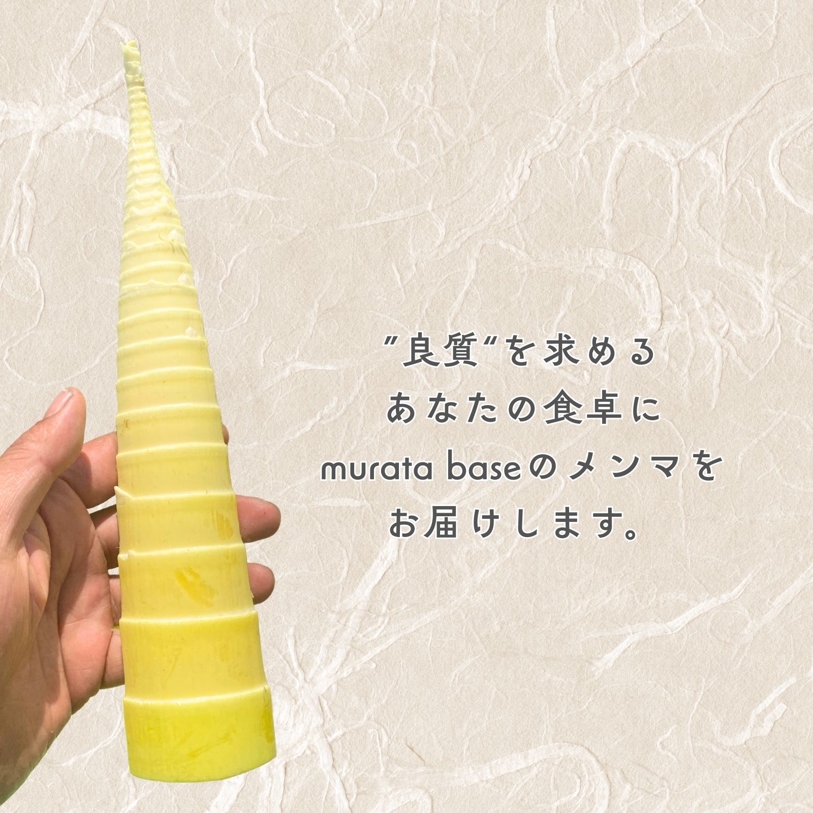 メンマアチャール | murata base