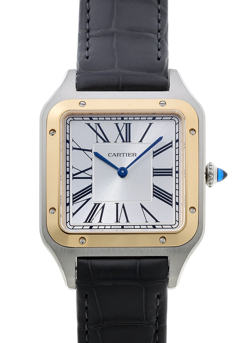 �T���g�X �f������ W2SA0034