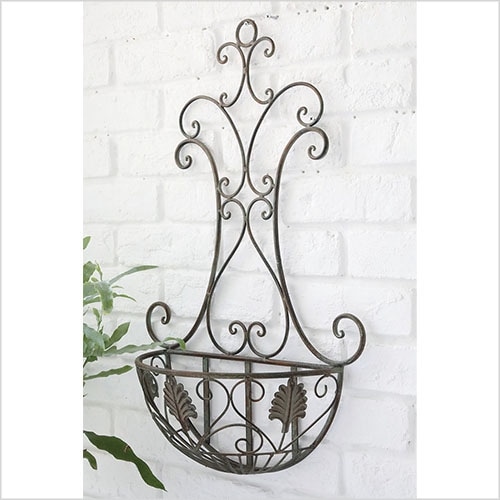 シャロット・ウォールラック