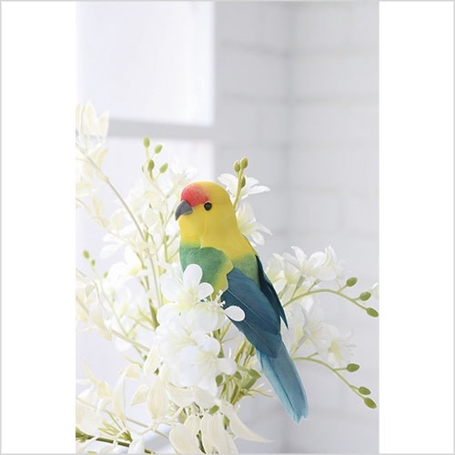 トロピカル・ダルメイン