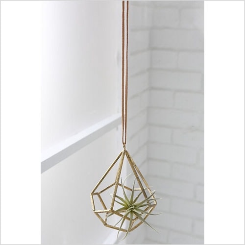 ブリリアント・フレームハング