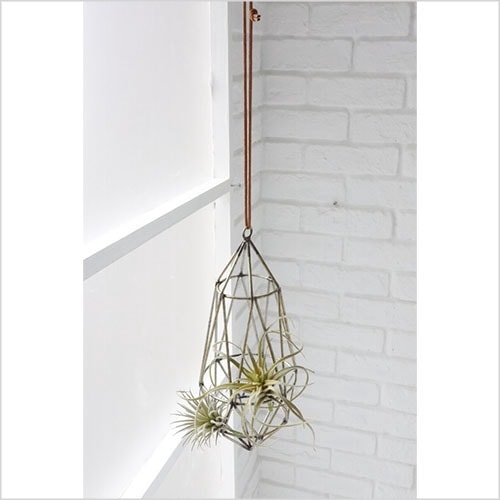 マーキーズ・フレームハング