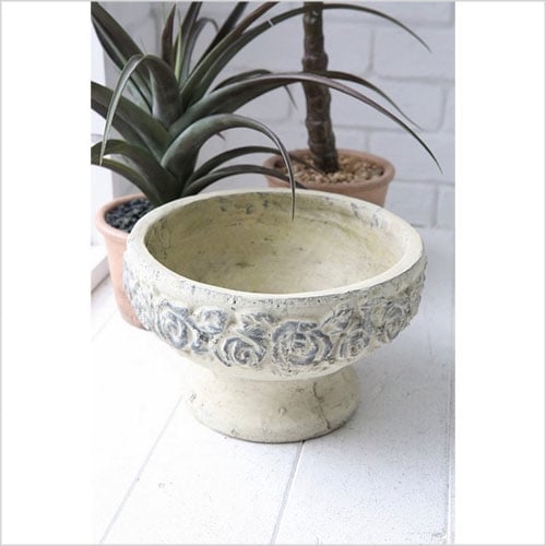 オールドローズ・ボール