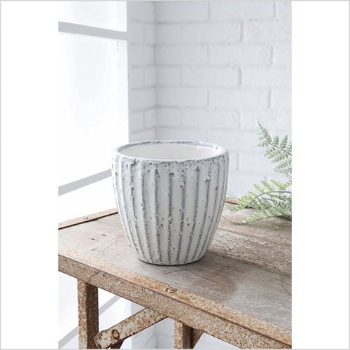 シュガーライン・ラウンドポットS