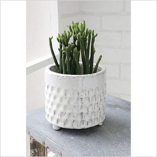 スプーン・レッグスポットS