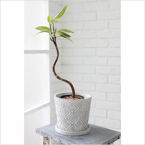 ランシェル・ラウンドポットL