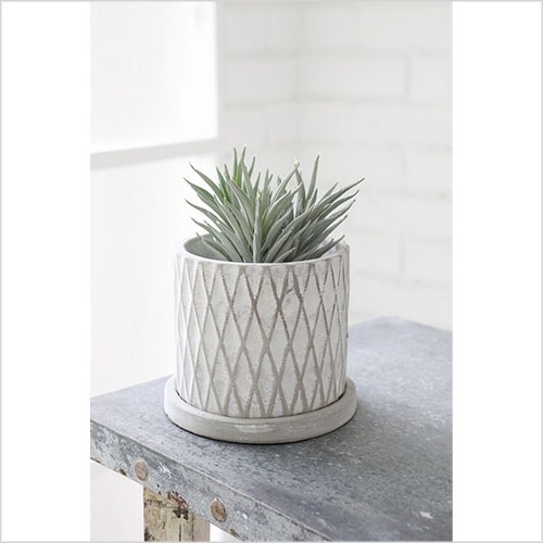 ナッシュ・シリンダーポットSS