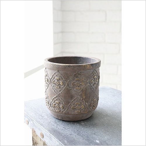 シェスナ・ラウンドポットS