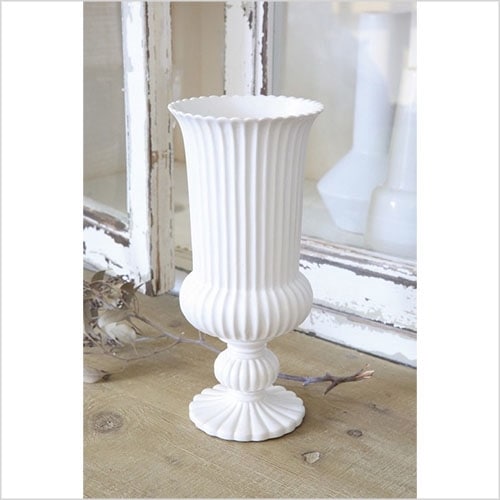 ブルーム・カップベース