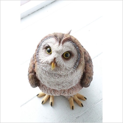 ステアー・オウル