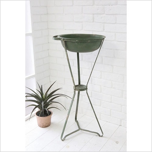 エバーグリーン・ベイスン