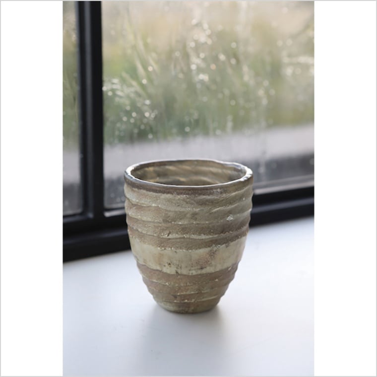 シルドーム・キャンドルカップ L